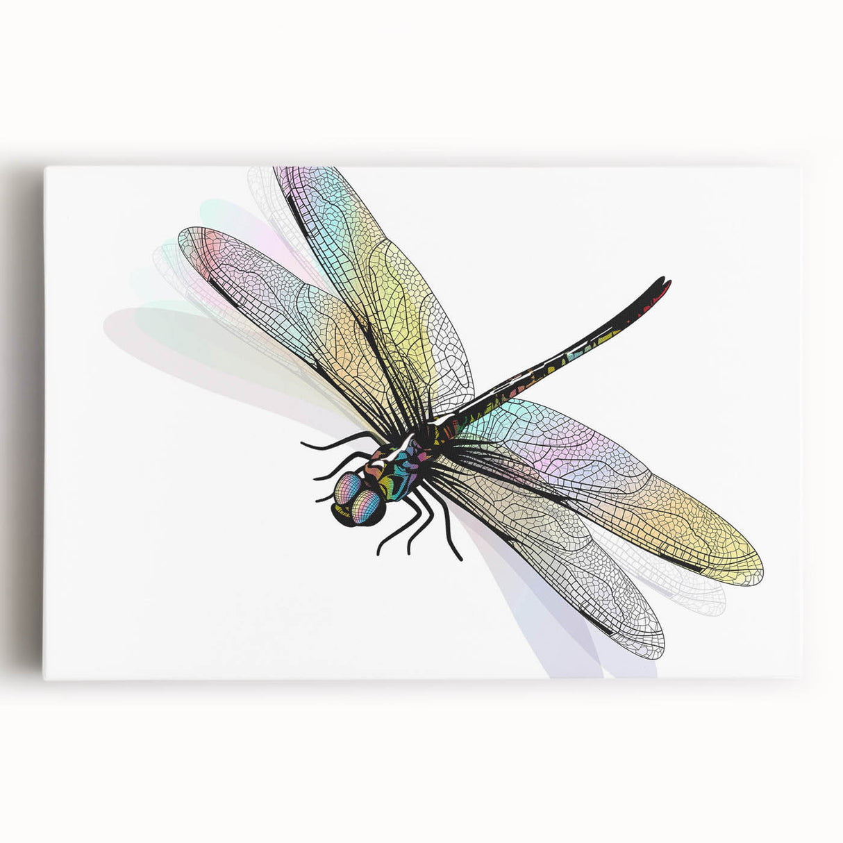 Vibrant close-up of a detailed insect illustration showcasing intricate patterns and colors, perfect for educational materials or nature-themed decor.