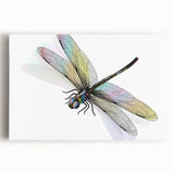 Vibrant close-up of a detailed insect illustration showcasing intricate patterns and colors, perfect for educational materials or nature-themed decor.