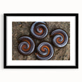 Extra large abstract art print featuring vivid, colorful swirls on textured canvas.