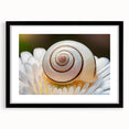 Extra large abstract art print featuring vibrant, textured swirls of colors on canvas, ideal for living room decor.
