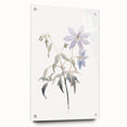 Acrylic glass wall art piece showcasing an abstract minimalist design with vibrant colors, displayed in a modern setting with decorative pins. Perfect for contemporary home decor.