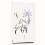 Acrylic glass wall art piece showcasing an abstract minimalist design with vibrant colors, displayed in a modern setting with decorative pins. Perfect for contemporary home decor.