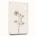 Abstract minimalist wall art collection displayed in a side view, featuring acrylic glass framing and decorative pins, ideal for modern home decor.