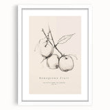 Abstract minimalist wall art design featuring a framed print with a white matte, showcasing geometric shapes and soft colors, ideal for modern home decor.