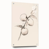 Minimalist abstract wall art collection displayed in a side view, showcasing acrylic glass with pins, perfect for modern home decor.