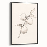 Framed canvas wall art featuring an abstract minimalist design with a black border, showcasing elegant lines and shapes, perfect for modern home decor.
