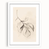 Minimalist abstract wall art framed in white matting, showcasing geometric patterns in soft pastel colors, perfect for modern home decor.