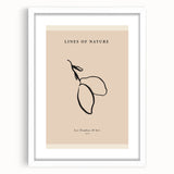 Abstract minimalist wall art collection featuring a framed piece with a white mat, showcasing a modern design. Perfect for contemporary home decor, this artwork enhances any living space with its clean lines and subtle elegance.