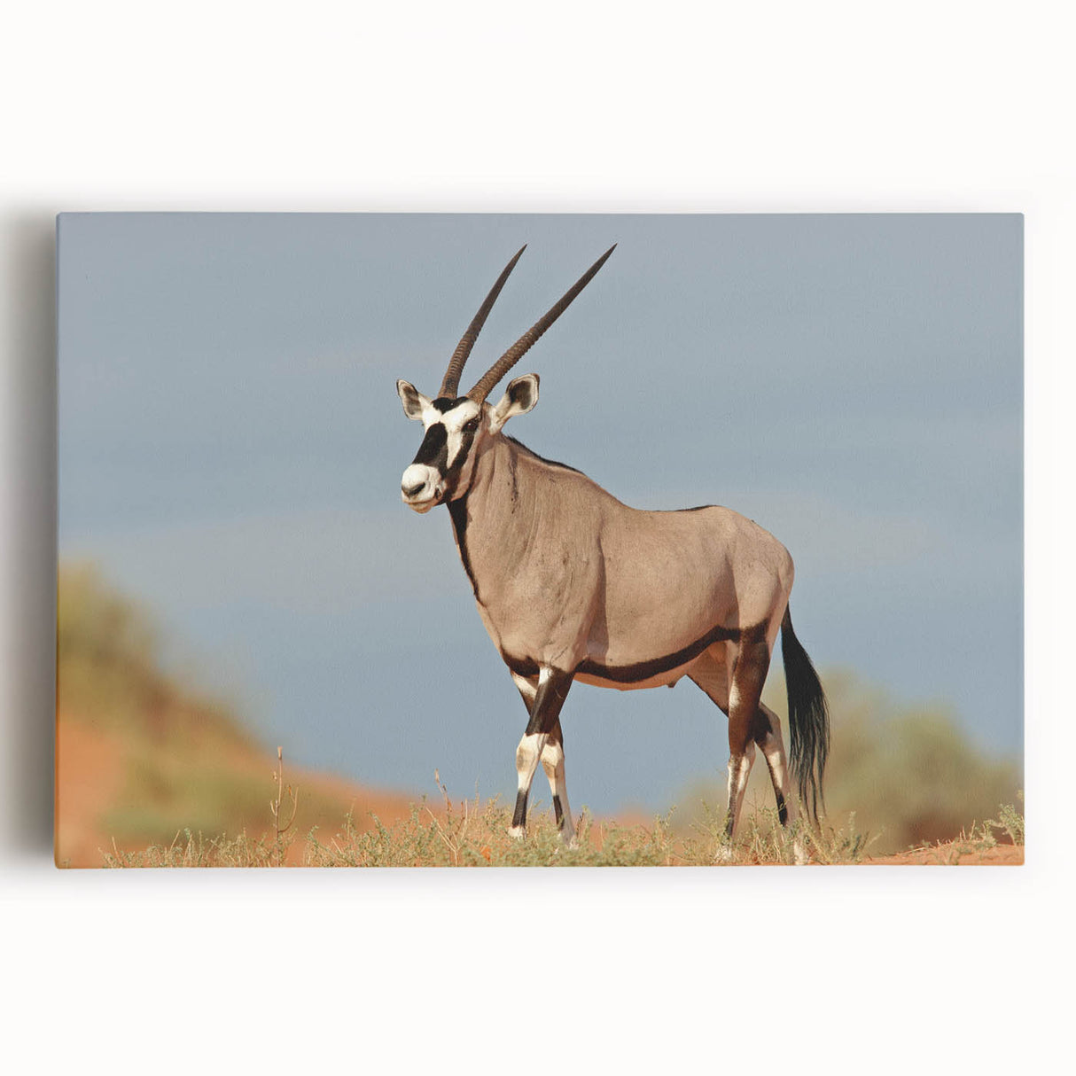 Stretched canvas wall art depicting a vibrant antelope design, showcasing intricate details and rich colors, perfect for enhancing modern home decor.