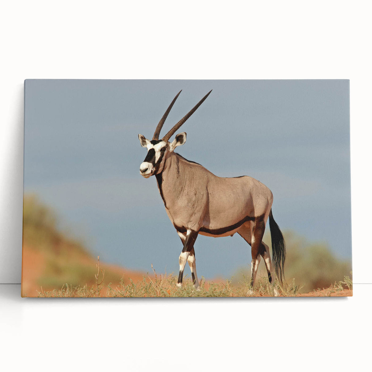 Antelope wall art design on stretched canvas, showcasing vibrant colors and intricate patterns, ideal for wildlife enthusiasts and home decor.