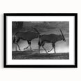 Framed wall art showcasing a striking antelope design in a sleek black frame with a mat, perfect for adding a touch of wildlife elegance to any decor.