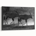Framed canvas wall art featuring a stylish black antelope design, showcasing intricate details and a modern aesthetic, perfect for wildlife enthusiasts and home decor.