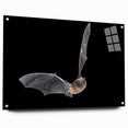 Acrylic glass wall art collection featuring a vibrant bat design, showcasing intricate details and vivid colors, displayed in a side view with decorative pins for mounting.