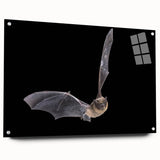 Acrylic glass wall art collection featuring a vibrant bat design, showcasing intricate details and vivid colors, displayed in a side view with decorative pins for mounting.