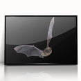 Framed wall art featuring a striking bat design from the "Animals: A Wild Life" collection, showcasing intricate details in black acrylic, ideal for modern decor.
