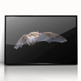 Framed wall art showcasing a striking bat design in a black frame, perfect for wildlife enthusiasts. This acrylic piece adds a modern touch to home decor.