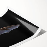 Bat-themed wall art print featuring intricate designs and vibrant colors, showcasing wildlife aesthetics perfect for nature enthusiasts. The rolled print is ideal for framing and adds a unique touch to home decor.