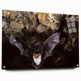 Acrylic wall art collection featuring a unique bat design, displayed in a sleek side view with decorative pins, perfect for animal-themed home decor.