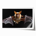 Bat-themed wall art print showcasing a vibrant design featuring various species of bats in a colorful, whimsical style, perfect for wildlife enthusiasts.
