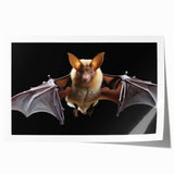 Bat-themed wall art print showcasing a vibrant design featuring various species of bats in a colorful, whimsical style, perfect for wildlife enthusiasts.