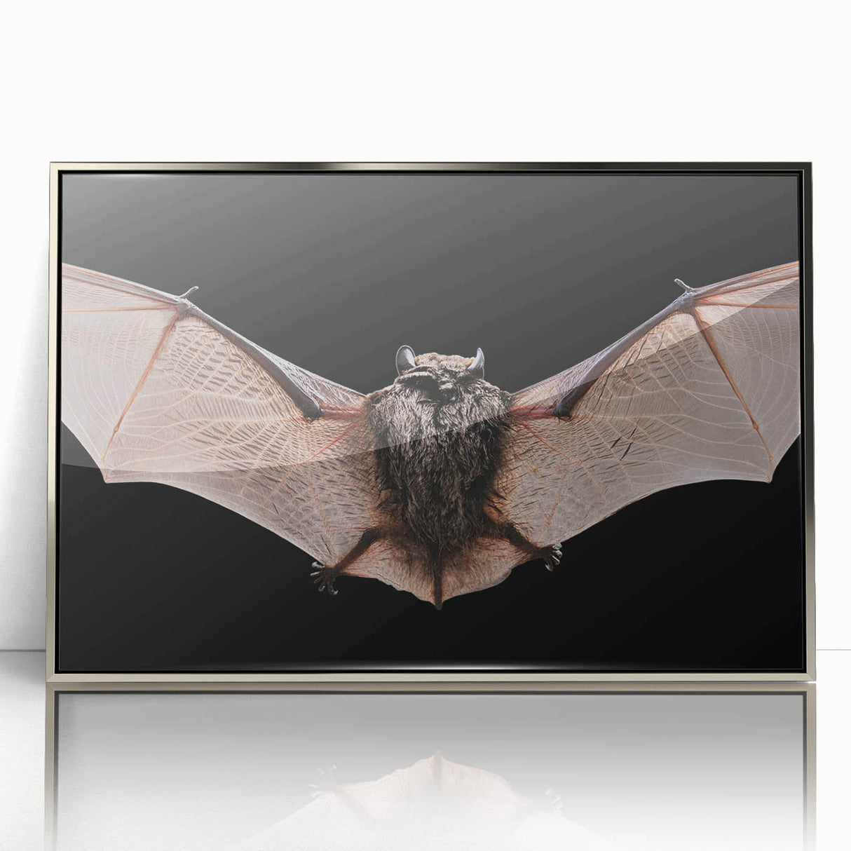 Framed wall art showcasing a striking bat design in silver acrylic, ideal for wildlife enthusiasts and modern home decor, enhancing any space with elegance.