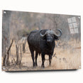 Side view of a striking acrylic glass wall art piece depicting a wild buffalo, showcasing detailed textures and vibrant colors, ideal for nature-themed decor.
