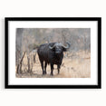 Black-framed wall art featuring a striking buffalo design, part of the A Bisson collection, perfect for adding a touch of wildlife decor to any space.