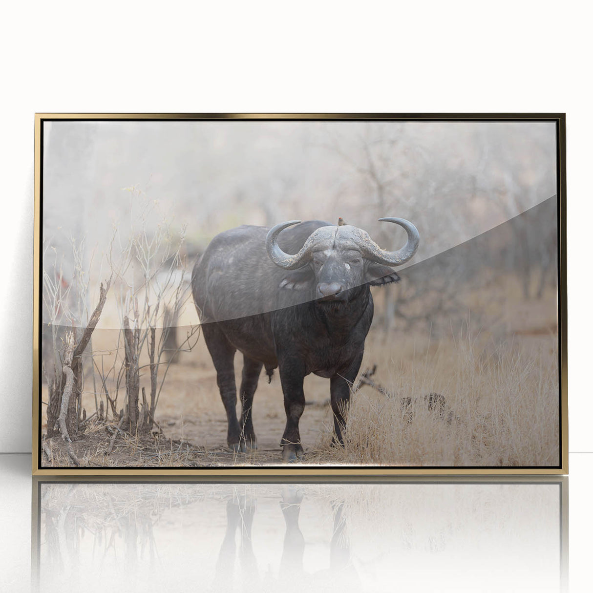 Framed wall art featuring a detailed illustration of a buffalo, designed with a golden acrylic frame, showcasing wildlife artistry perfect for animal lovers.