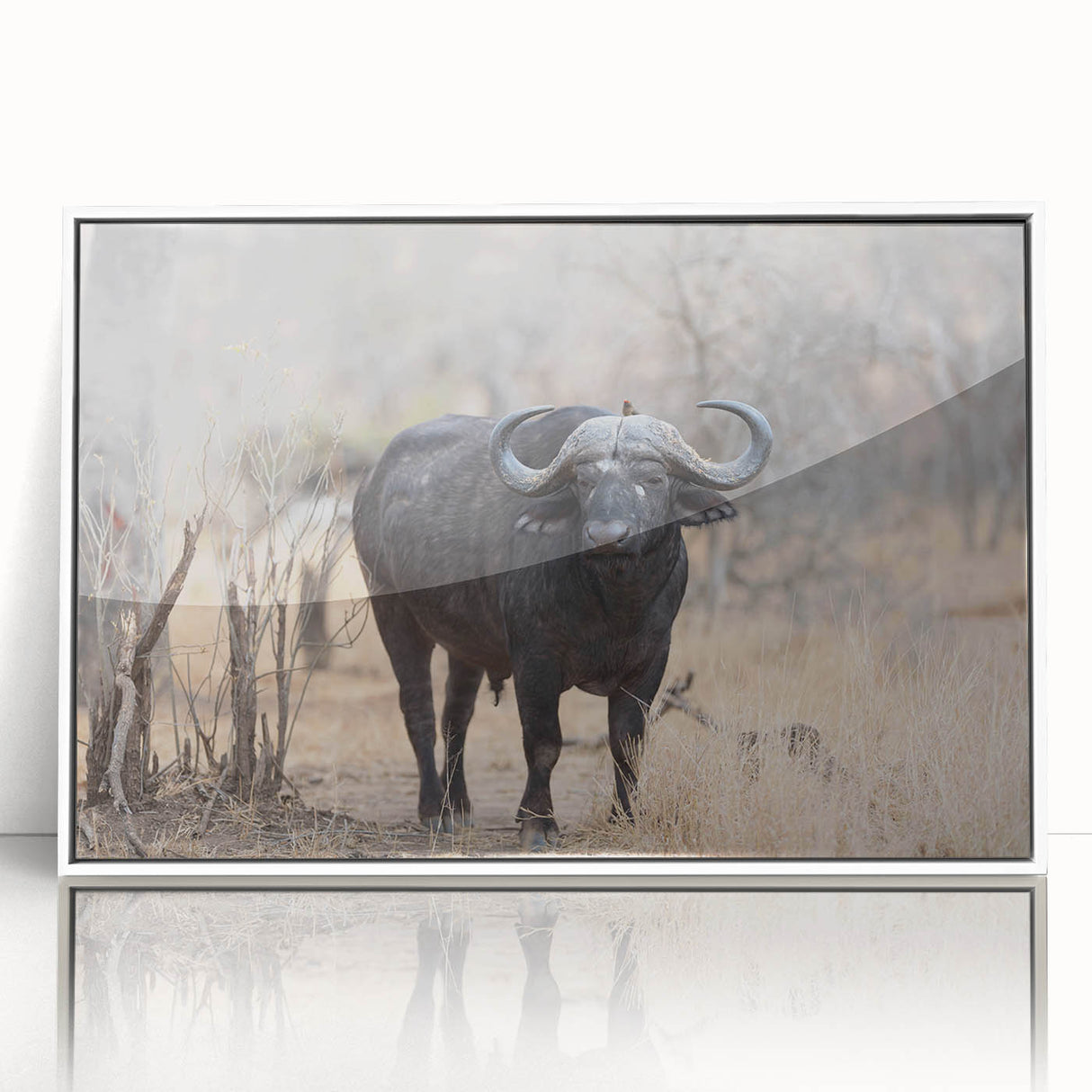 Framed wall art depicting a majestic buffalo in a natural setting, showcasing vibrant colors and intricate details, ideal for wildlife enthusiasts and home decor.