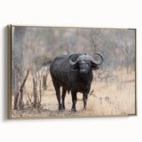 Framed wall art featuring a side view of a majestic buffalo, showcasing rich textures and golden accents, perfect for wildlife enthusiasts and home decor.