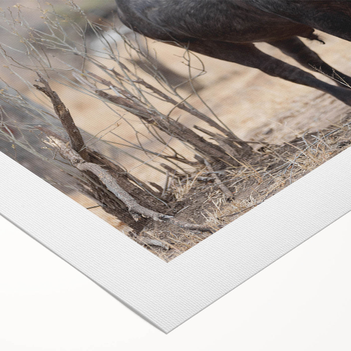Buffalo wall art design on rolled canvas showcasing intricate details and earthy tones, perfect for wildlife enthusiasts and home decor. Ideal for adding character to any space.