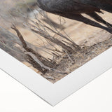 Buffalo wall art design on rolled canvas showcasing intricate details and earthy tones, perfect for wildlife enthusiasts and home decor. Ideal for adding character to any space.