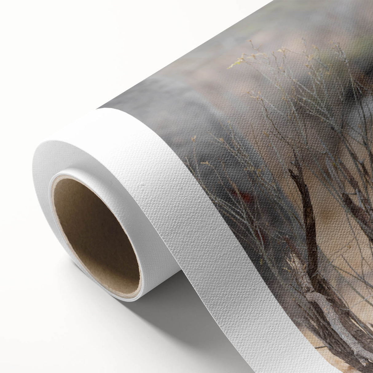 Rolled canvas artwork showcasing a vibrant buffalo design, part of a wildlife collection, featuring rich colors and intricate details, perfect for nature enthusiasts.