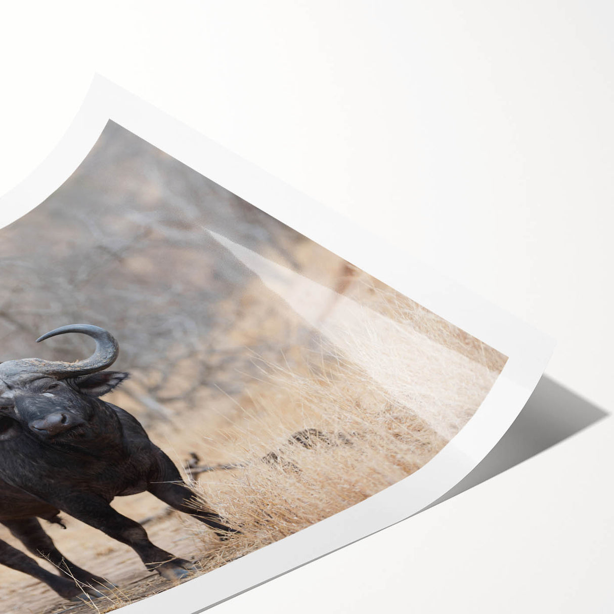 Buffalo wall art print showcasing a detailed design of a bison in a natural setting, emphasizing earthy tones and textures, perfect for wildlife enthusiasts' decor.