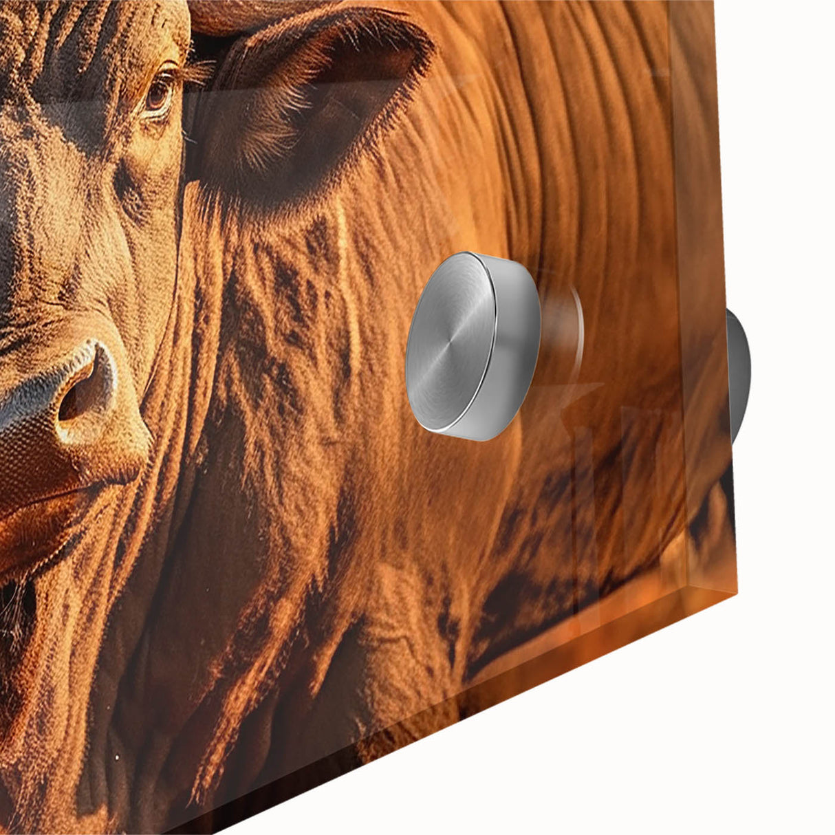 Close-up of a striking acrylic glass wall art piece featuring a detailed portrait of a buffalo in a natural setting, showcasing rich colors and textures, perfect for wildlife enthusiasts and modern decor.