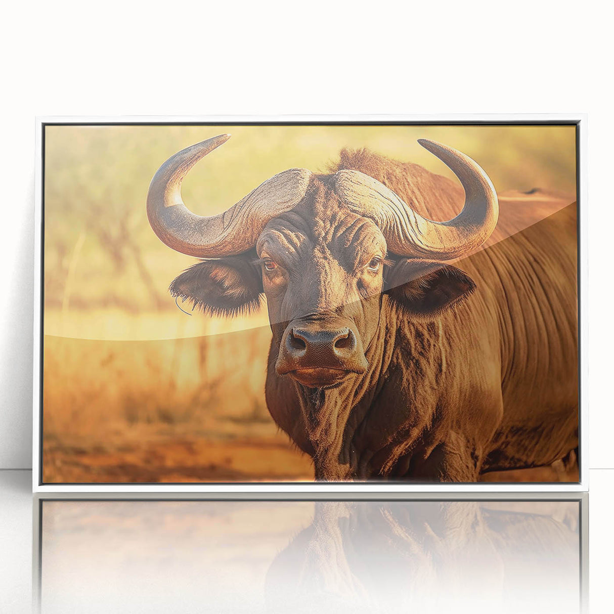Framed acrylic wall art showcasing a majestic buffalo design, featuring vibrant colors and intricate details, ideal for wildlife enthusiasts and modern decor.