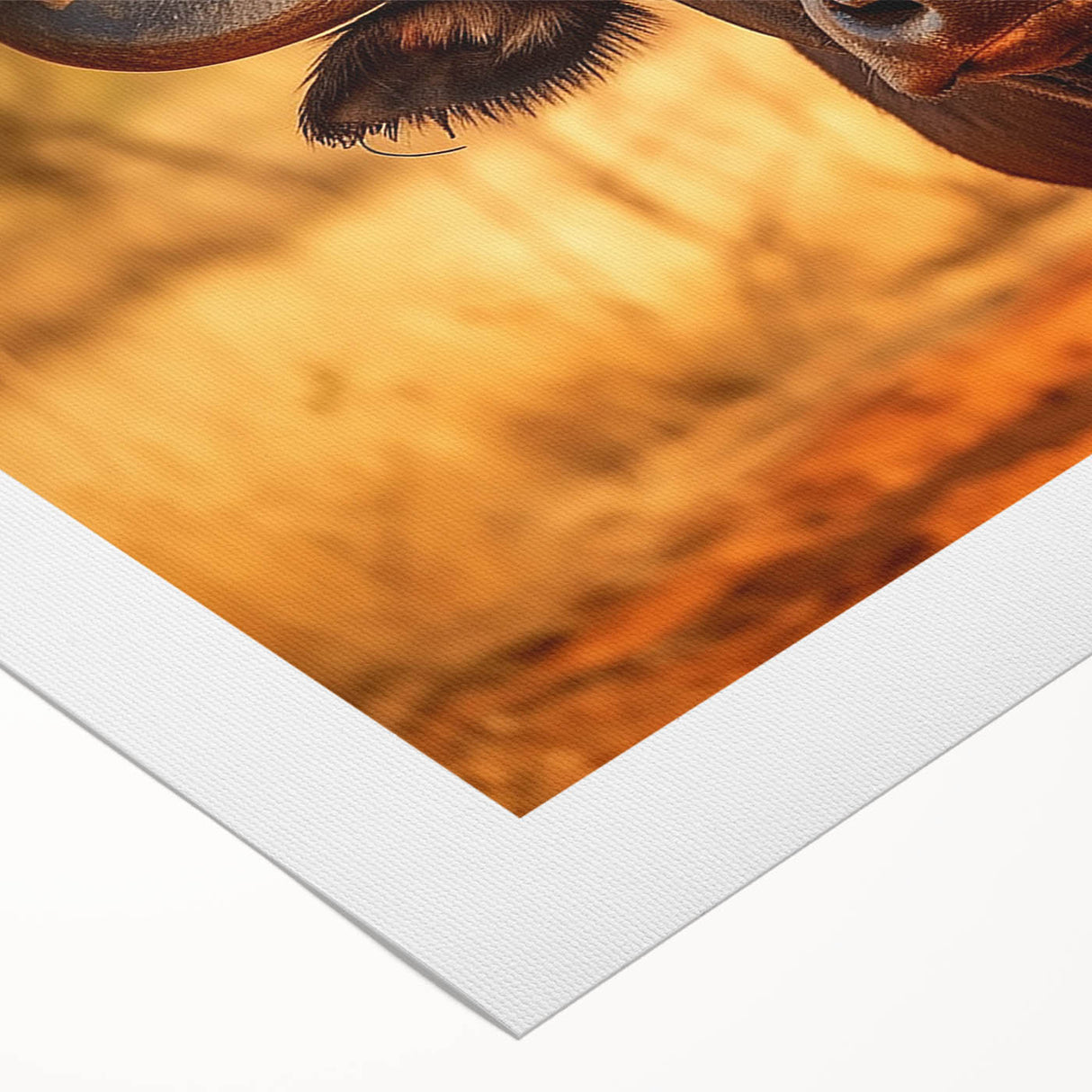 Rolled canvas print showcasing a striking buffalo design from the "Animals of the Wild" collection, featuring vibrant colors and intricate details, perfect for wildlife enthusiasts' decor.