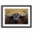 Framed wall art featuring a detailed black-and-white illustration of a buffalo, part of the Wildlife Bison design collection, showcasing elegant matting and a sleek black frame.