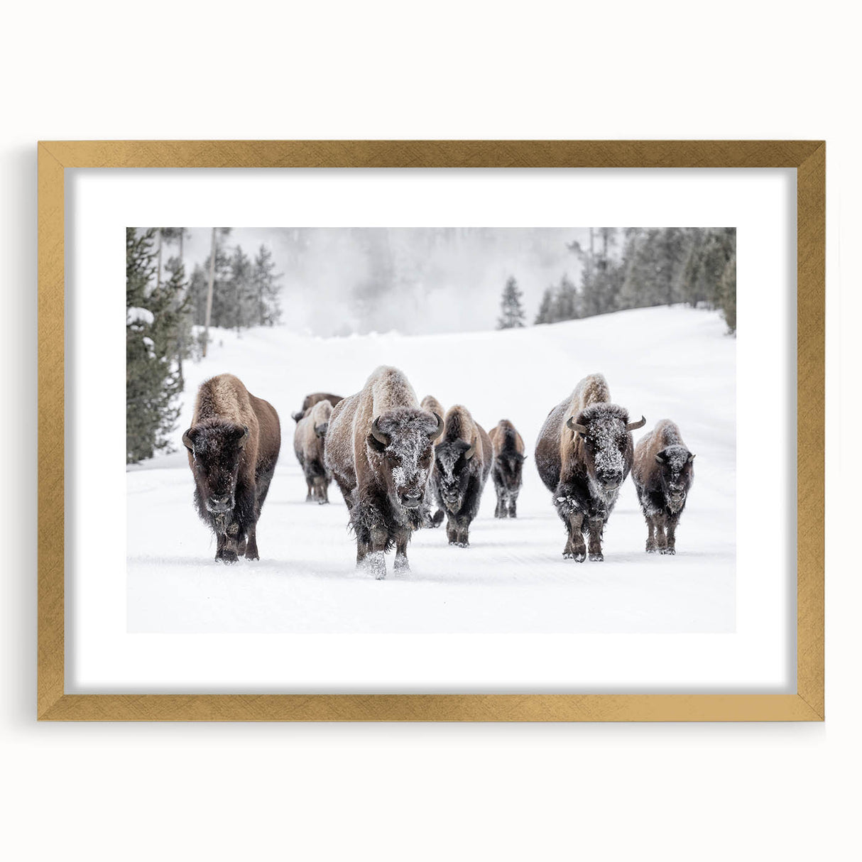 Framed wall art featuring a striking gold-matted design of a buffalo, showcasing intricate details and textures, perfect for wildlife enthusiasts and home decor.