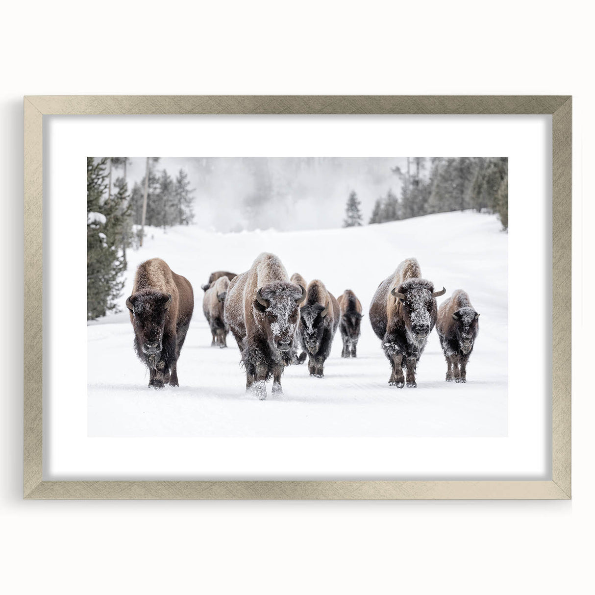 Framed wall art featuring a majestic buffalo design in a silver frame with matting, showcasing intricate details and natural colors, perfect for wildlife enthusiasts.