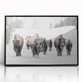 Framed wall art showcasing a striking black and white buffalo design, set in an acrylic frame. Perfect for wildlife enthusiasts and modern decor.