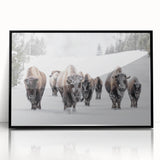 Framed wall art showcasing a striking black and white buffalo design, set in an acrylic frame. Perfect for wildlife enthusiasts and modern decor.