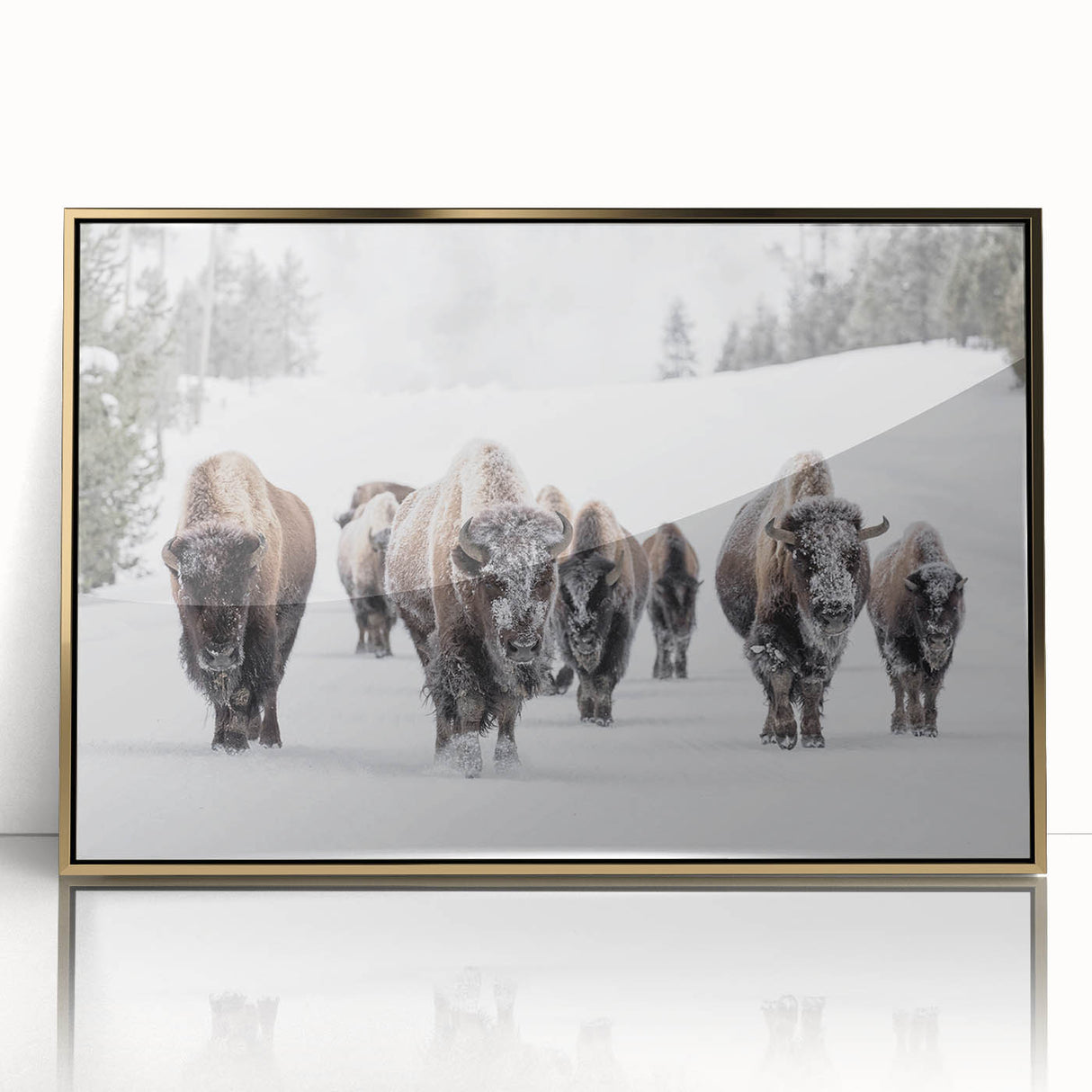 Framed wall art featuring a striking buffalo design in bold gold accents, perfect for wildlife enthusiasts and modern decor, showcasing natural beauty and artistry.