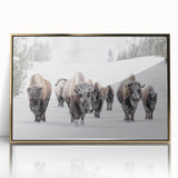 Framed wall art featuring a striking buffalo design in bold gold accents, perfect for wildlife enthusiasts and modern decor, showcasing natural beauty and artistry.