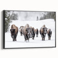 Framed canvas wall art showcasing a majestic buffalo in a side view, featuring rich colors and intricate details, perfect for wildlife decor enthusiasts.