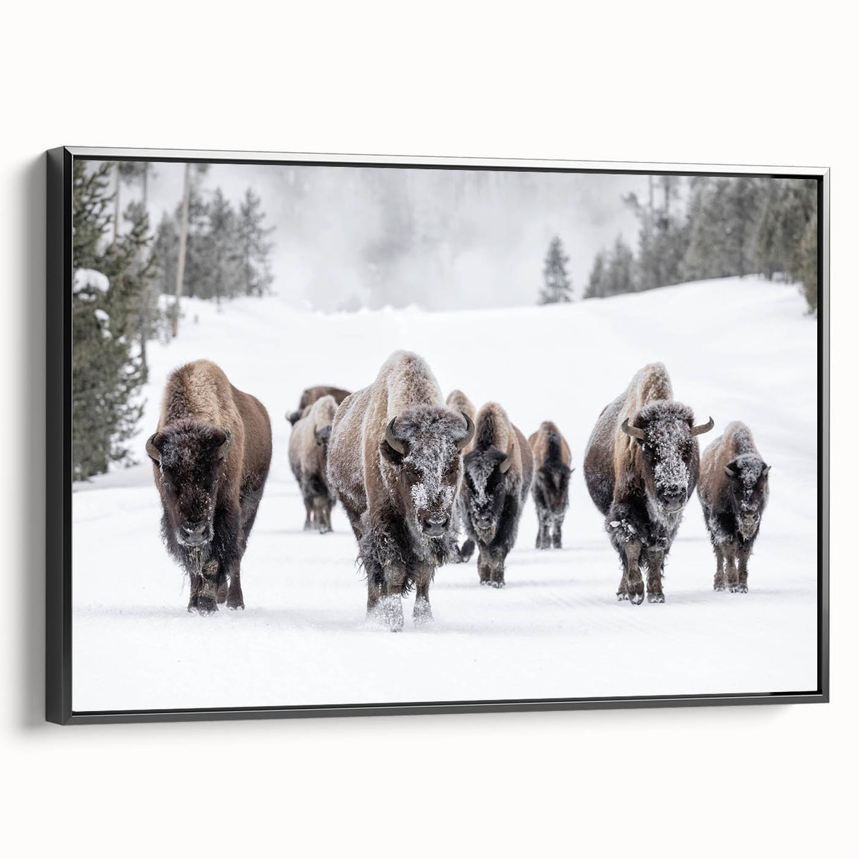 Framed canvas wall art showcasing a majestic buffalo in a side view, featuring rich colors and intricate details, perfect for wildlife decor enthusiasts.