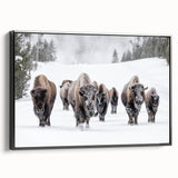 Framed canvas wall art showcasing a majestic buffalo in a side view, featuring rich colors and intricate details, perfect for wildlife decor enthusiasts.