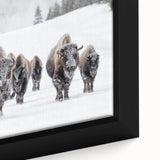 Close-up of a framed canvas wall art design depicting a majestic buffalo in a serene wildlife setting, showcasing intricate details and rich colors, ideal for nature lovers.