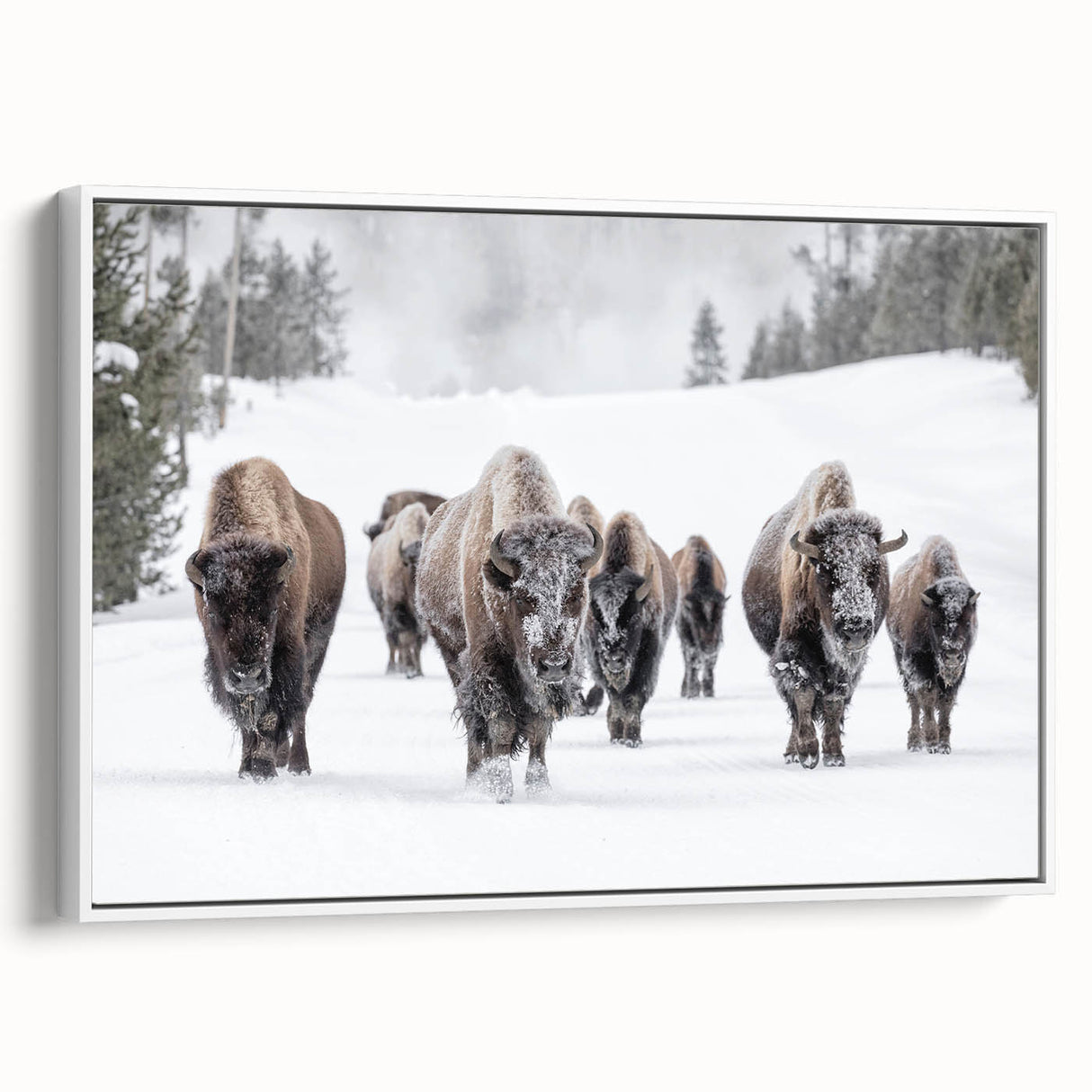 Framed canvas wall art depicting a side view of a majestic buffalo, showcasing detailed textures and natural colors, perfect for wildlife enthusiasts and home decor.