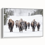 Framed canvas wall art depicting a side view of a majestic buffalo, showcasing detailed textures and natural colors, perfect for wildlife enthusiasts and home decor.